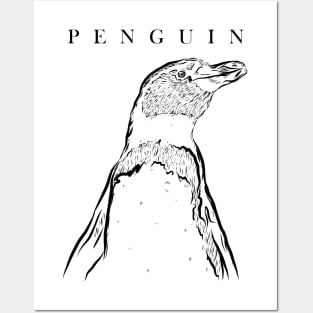 Emperor Sea Bird King Penguin Lover Penguin Posters and Art